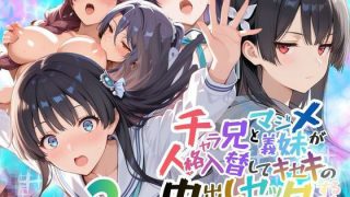 【エロ同人】  チャラ兄とマジメ義妹が人格入替してキセキの中出しセックする話 Part2のサムネイル画像