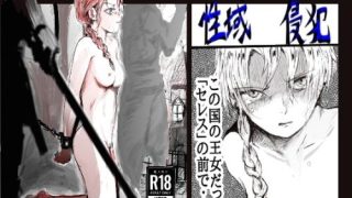 【新着同人誌】性域侵犯のアイキャッチ画像